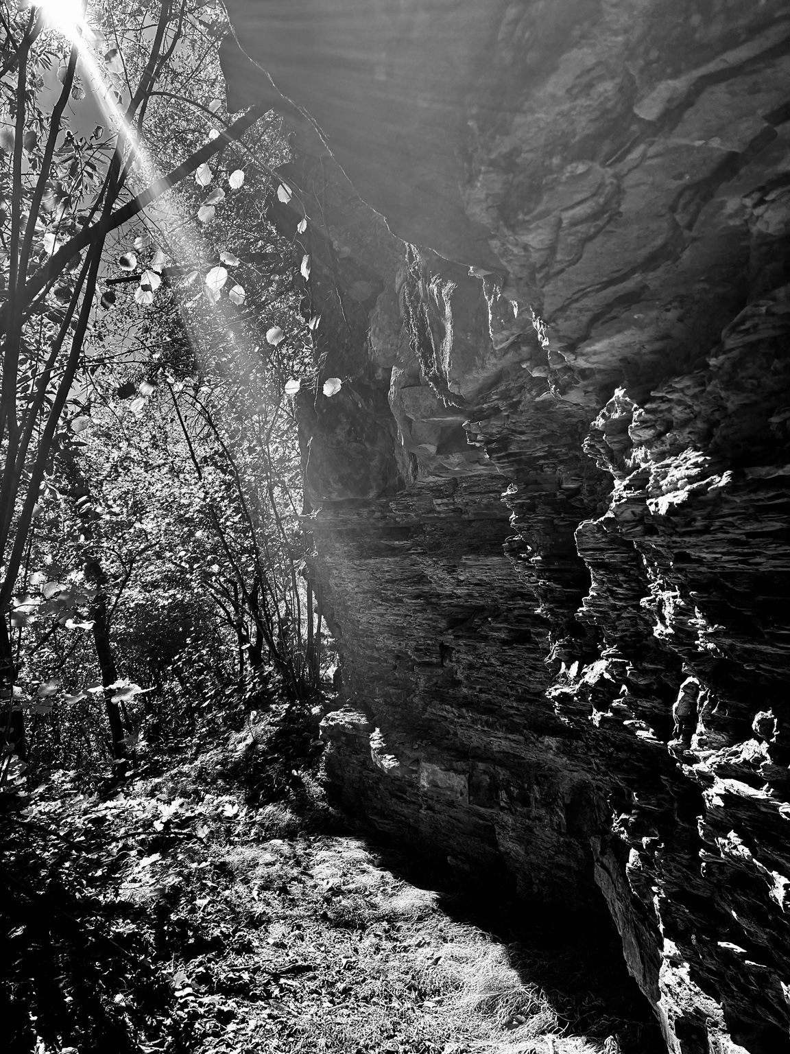 Roccia e luce nel bosco, evocazione della Spelonca di San Michele