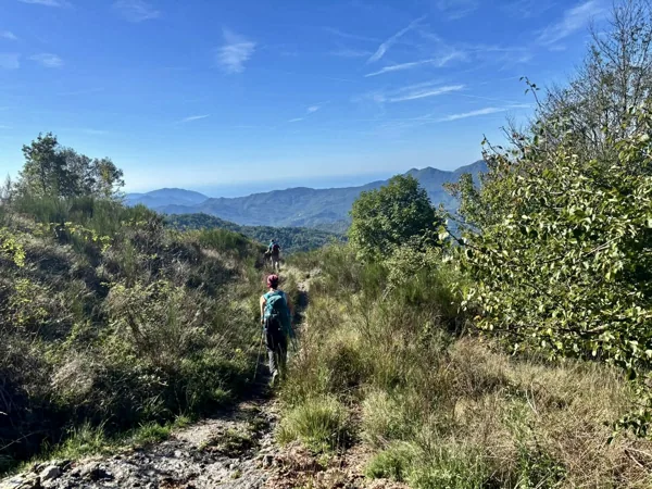 Escursionisti tra i cespugli e i monti