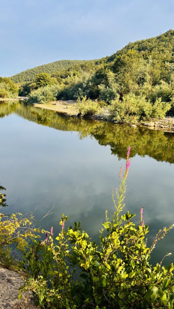 Luni il bottagone